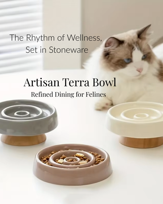 Artisan Terra Bowl
