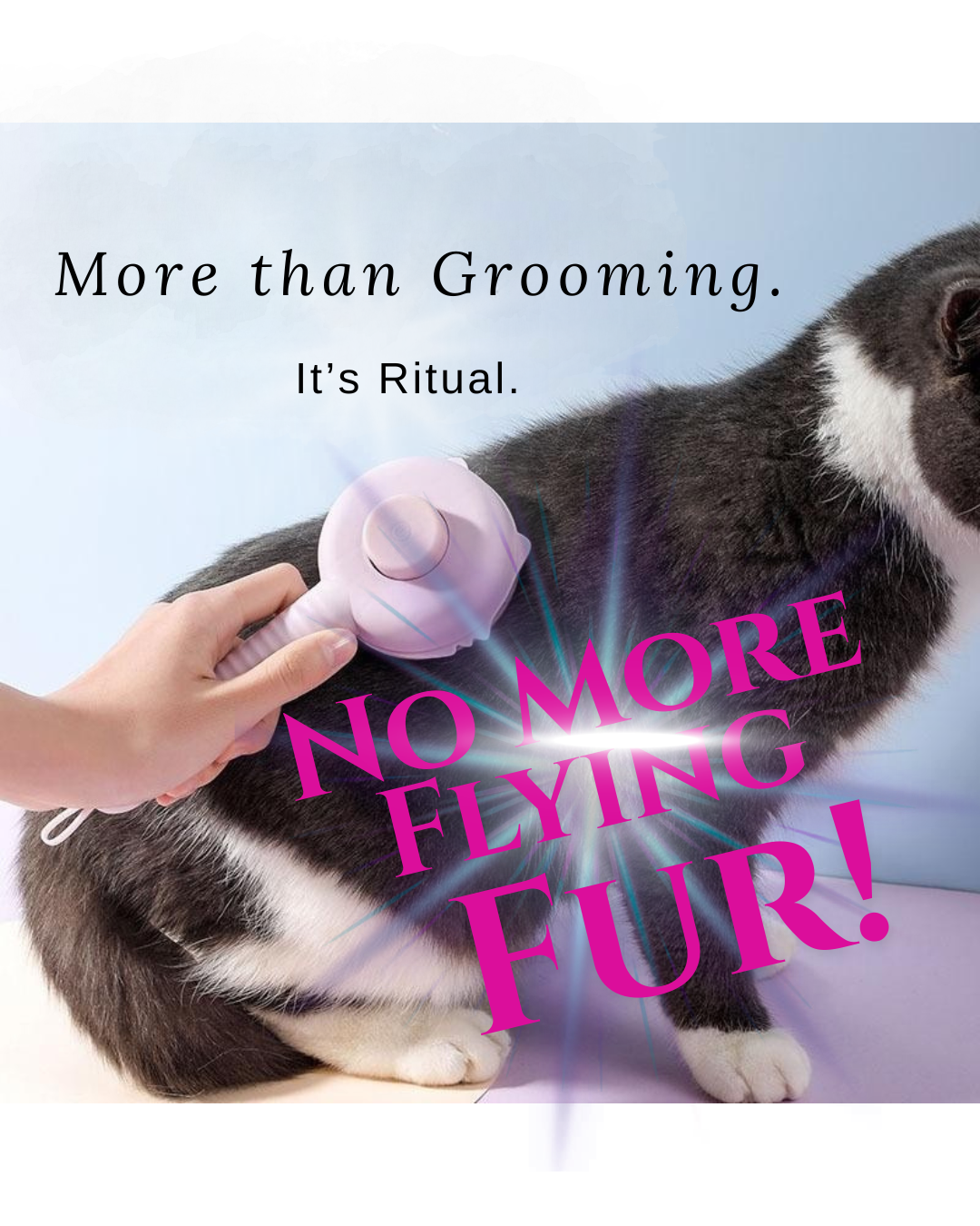 The Petal Brush™ | One-Click Hair Release Cat Grooming Brush — Reduces Shedding, Prevents Hairballs & Supports Skin Health