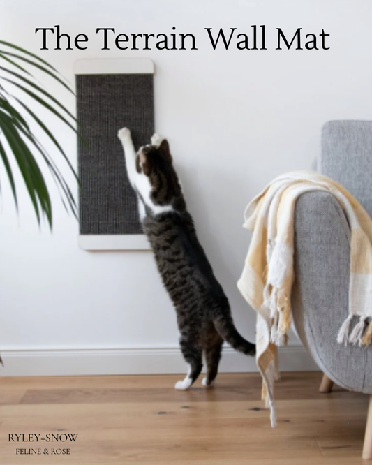 The Terrain Wall Mat™ – Self-Adhesive Cat Climbing & Scratching Mat