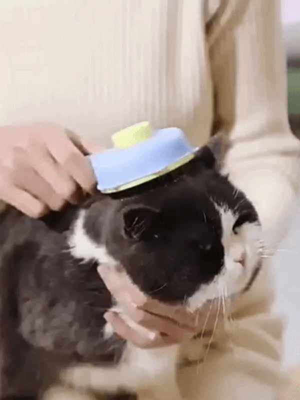 The Petal Brush™ | One-Click Hair Release Cat Grooming Brush — Reduces Shedding, Prevents Hairballs & Supports Skin Health